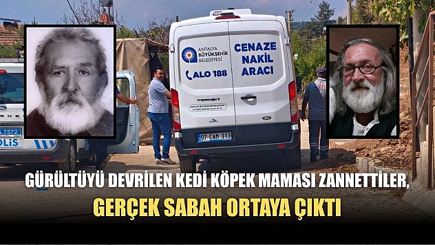 Gürültüyü devrilen kedi köpek maması zannettiler, gerçek sabah ortaya çıktı