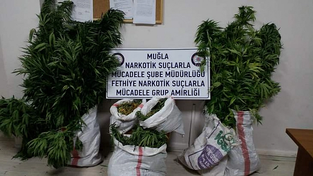 Seydikemer İlçesi'nde Uyuşturucu Operasyonu