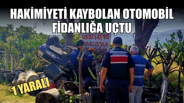 Hakimiyeti kaybolan otomobil fidanlığa uçtu: 1 yaralı