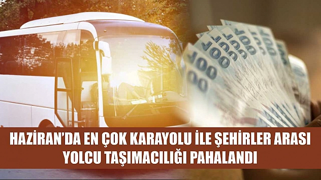 Haziran'da en çok karayolu ile şehirler arası yolcu taşımacılığı pahalandı