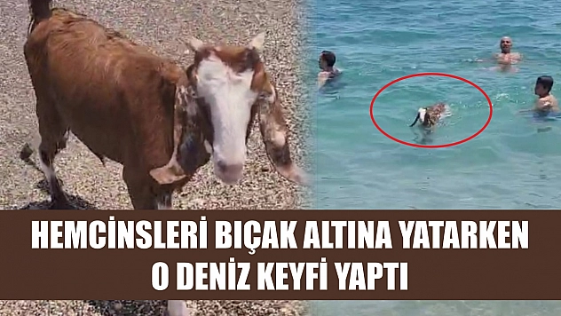 Hemcinsleri bıçak altına yatarken o deniz keyfi yaptı