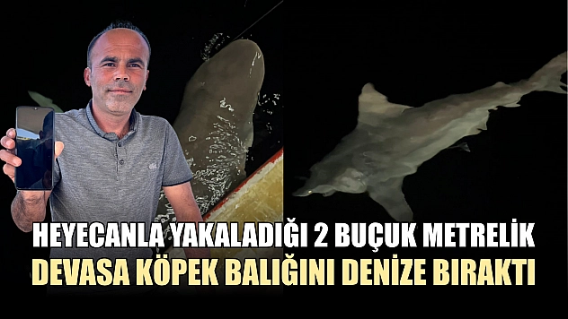 Heyecanla yakaladığı 2 buçuk metrelik devasa köpek balığını denize bıraktı
