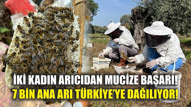 İki kadın arıcıdan mucize başarı! 7 bin ana arı Türkiye'ye dağılıyor!