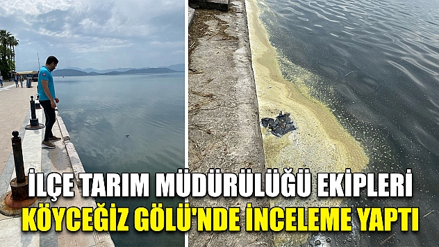 İlçe Tarım Müdürülüğü ekipleri Köyceğiz Gölü'nde inceleme yaptı