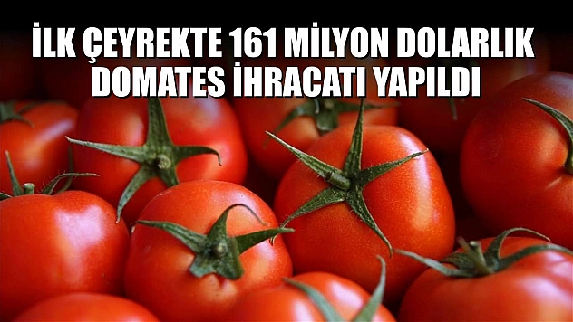 İlk çeyrekte 161 milyon dolarlık domates ihracatı yapıldı