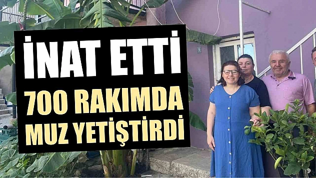 İnat etti, 700 rakımda muz yetiştirdi