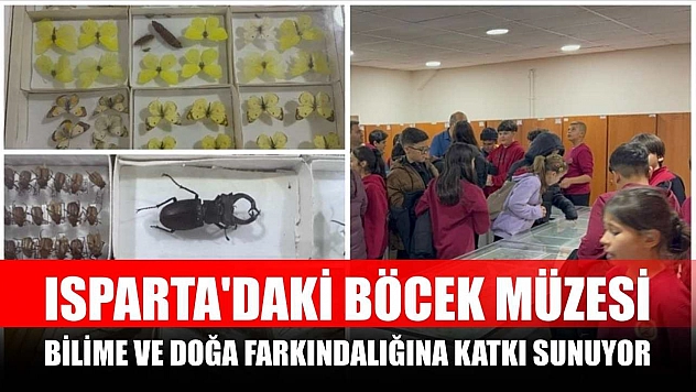 Isparta'daki Böcek Müzesi bilime ve doğa farkındalığına katkı sunuyor