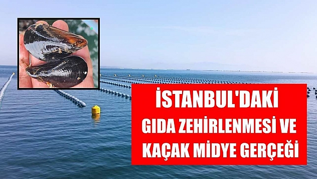 İstanbul'daki gıda zehirlenmesi ve kaçak midye gerçeği