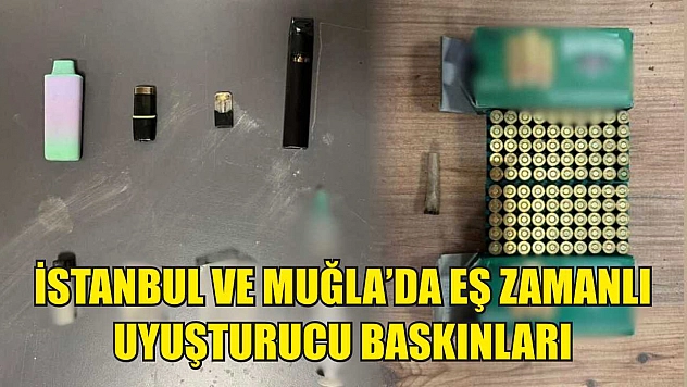 İstanbul ve Muğla'da Eş Zamanlı Uyuşturucu Baskınları