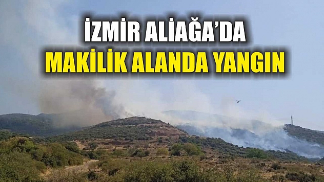 İzmir Aliağa'da makilik alanda yangın