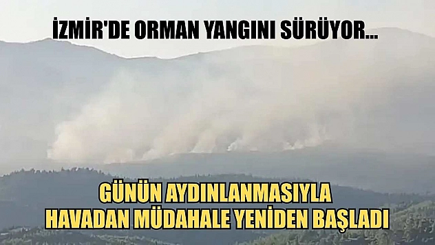 İzmir'de orman yangını sürüyor... Günün aydınlanmasıyla havadan müdahale yeniden başladı