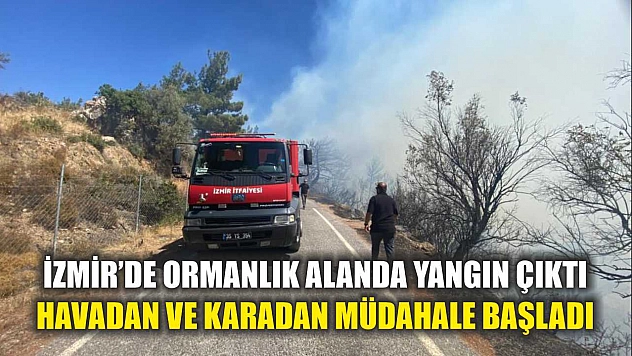 İzmir'de ormanlık alanda yangın çıktı: Havadan ve karadan müdahale başladı