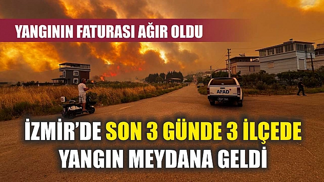 İzmir'de Son 3 Günde 3 İlçede Yangın Meydana Geldi