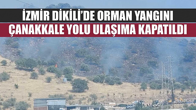 İzmir Dikili'de orman yangını: Çanakkale yolu ulaşıma kapatıldı