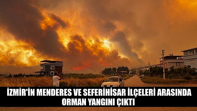 İzmir'in Menderes ve Seferihisar ilçeleri arasında orman yangını çıktı