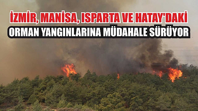 İzmir, Manisa, Isparta ve Hatay'daki orman yangınlarına müdahale sürüyor