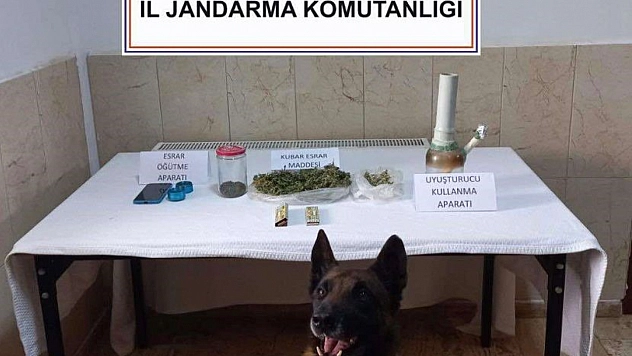 Jandarmanın Hassas Burunları Uyuşturucuya Geçit Vermedi