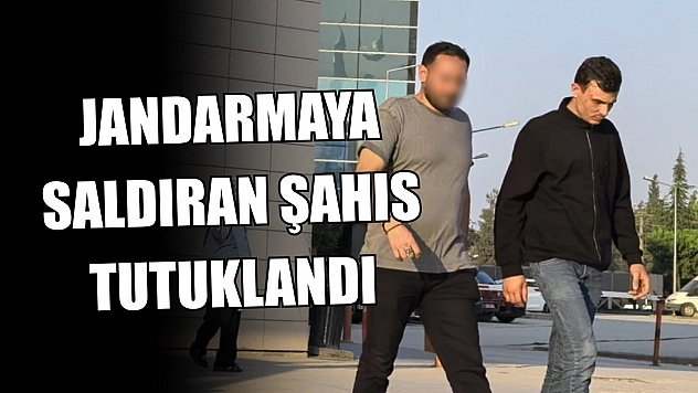 Jandarmaya saldıran şahıs tutuklandı