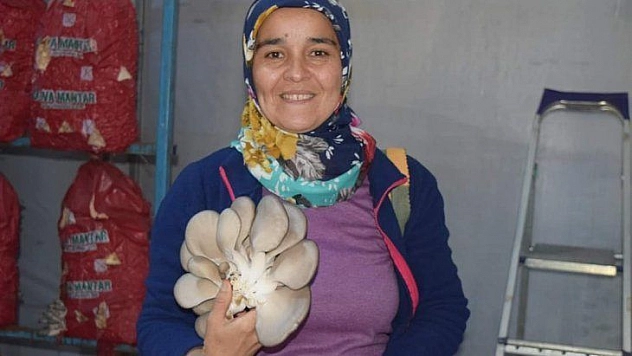 Kadın Çiftçiler İstiridye Mantarını Yerinde İnceledi