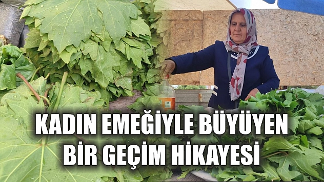 Kadın emeğiyle büyüyen bir geçim hikayesi