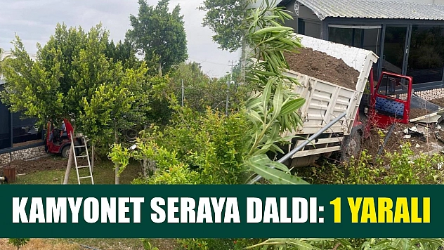 Kamyonet seraya daldı: 1 yaralı