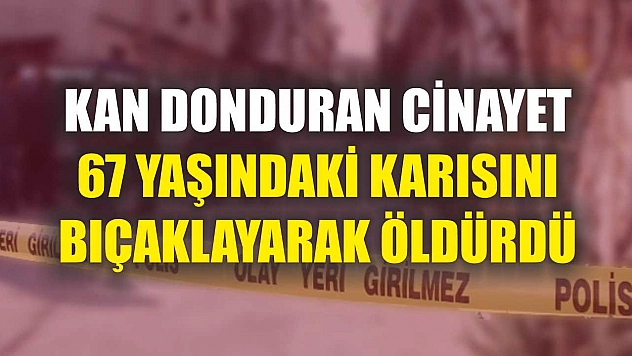Kan donduran cinayet: 67 yaşındaki karısını bıçaklayarak öldürdü