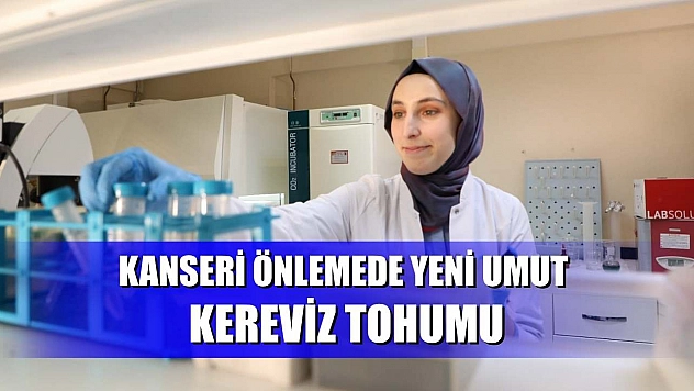 Kanseri önlemede yeni umut: kereviz tohumu