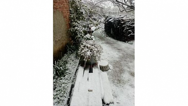 Kar yağışı Yatağan'ın yüksek kesimlerini beyaza bürüdü