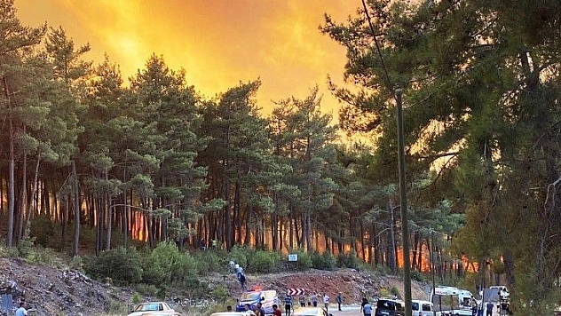 Kavaklıdere yangını kontrol altına alındı