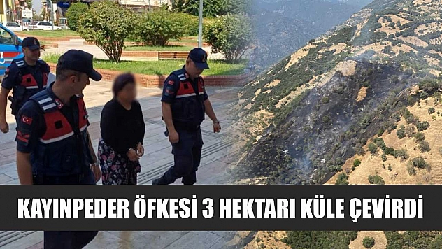 Kayınpeder öfkesi 3 hektarı küle çevirdi