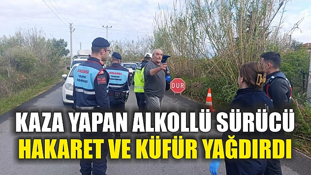 Kaza yapan alkollü sürücü hakaret ve küfür yağdırdı