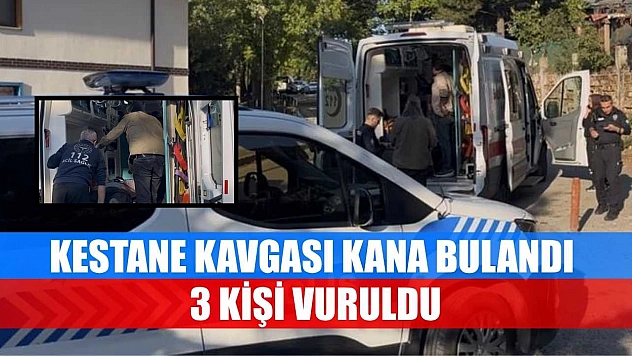 Kestane kavgası kana bulandı: 3 kişi vuruldu