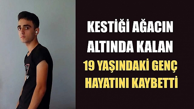 Kestiği ağacın altında kalan 19 yaşındaki genç hayatını kaybetti