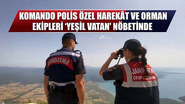 Komando, Polis Özel Harekât ve orman ekipleri 'Yeşil Vatan' nöbetinde