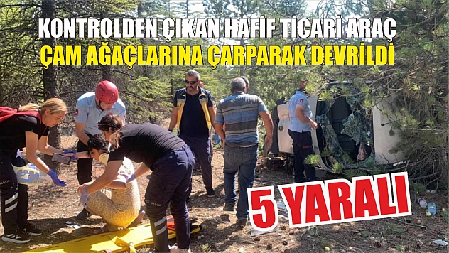 Kontrolden çıkan hafif ticari araç çam ağaçlarına çarparak devrildi: 5 yaralı