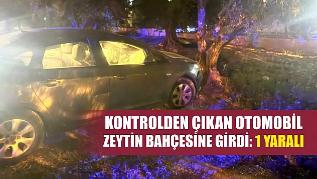 Kontrolden çıkan otomobil zeytin bahçesine girdi: 1 yaralı