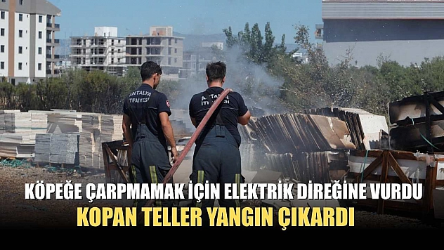Köpeğe çarpmamak için elektrik direğine vurdu, kopan teller yangın çıkardı