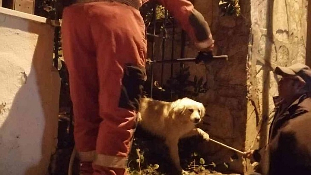 Köpeği görenler yardıma koştu