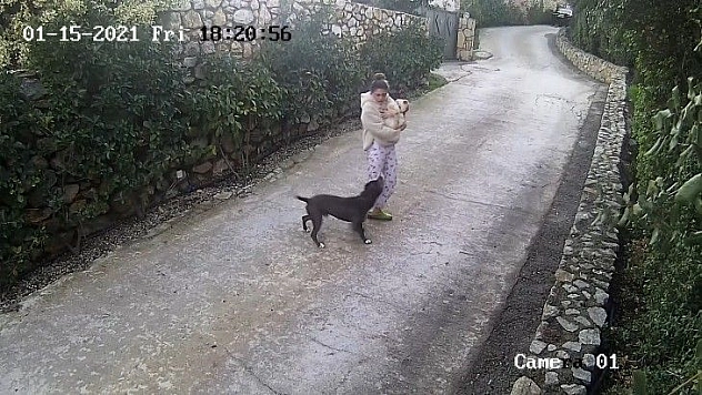 Köpeğin saldırısına uğrayarak yaralanan genç kızın annesi, köpeği ezmekle suçlandı