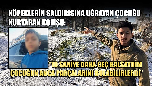 Köpeklerin saldırısına uğrayan çocuğu kurtaran komşu: '10 saniye daha geç kalsaydım çocuğun anca parçalarını bulabilirlerdi'