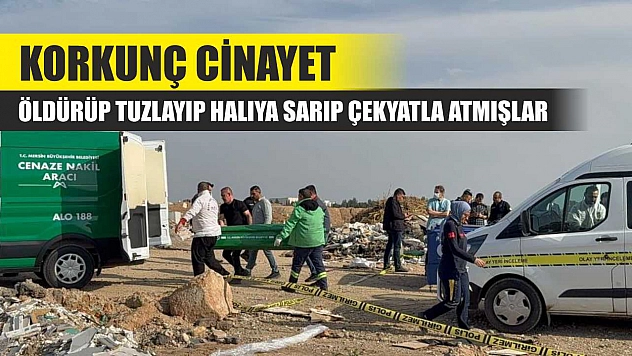 Korkunç cinayet: Öldürüp tuzlayıp halıya sarıp çekyatla atmışlar
