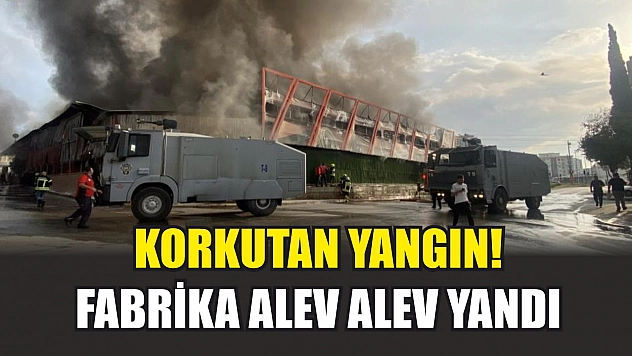 Korkutan yangın! Fabrika alev alev yandı