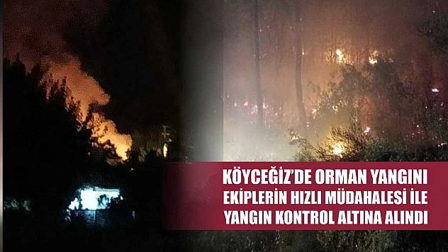 Köyceğiz'de Orman yangını, ekiplerin hızlı müdahalesi ile yangın kontrol altına alındı