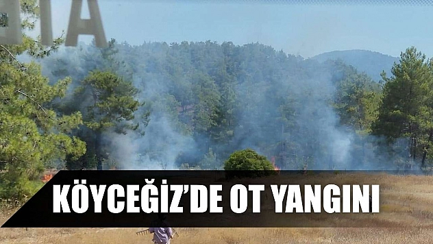 Köyceğiz'de ot yangını