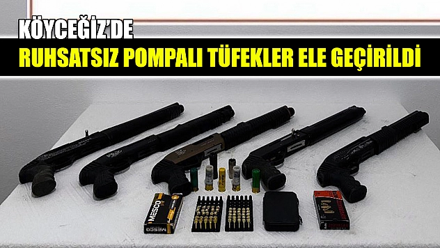 Köyceğiz'de ruhsatsız pompalı tüfekler ele geçirildi