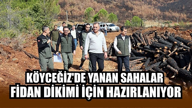 Köyceğiz'de yanan sahalar fidan dikimi için hazırlanıyor