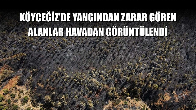 Köyceğiz'de yangından zarar gören alanlar havadan görüntülendi