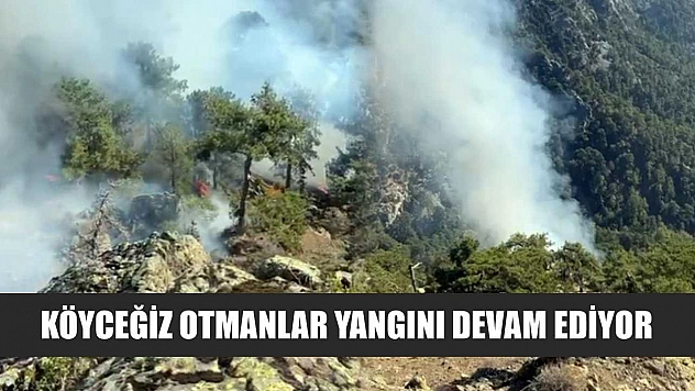Köyceğiz Otmanlar yangını devam ediyor