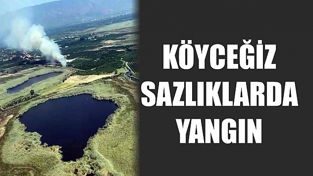 Köyceğiz sazlıklarda yangın