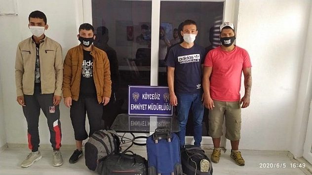 Köyceğizde düzensiz göçmen operasyonu